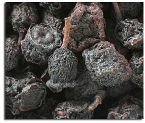 Bilberry Fruit Standardized Extract